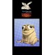 Pug big bust