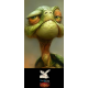 Old turtle